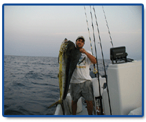 Bull Dolphin - Fishing Charters