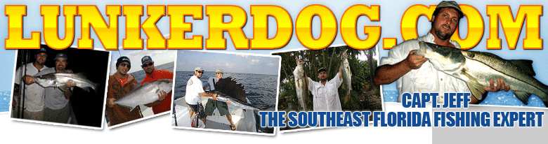 Catching Sailfish Tarpon Swordfish Sailfish in Ft Lauderdale