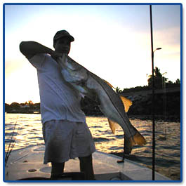 Snook Fishing Miami Catch Snook Ft Lauderdale