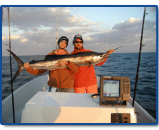 We didn't get the name Sailfish Alley for nothing!  For a true adrenaline rush, join us for an unforgettable day of catching sailfish, the high jumping, acrobatic twister that beginner and experienced anglers love to chase.  We enjoy some of the finest sail fishing around the globe.  Late October through April is outstanding... don't miss it!