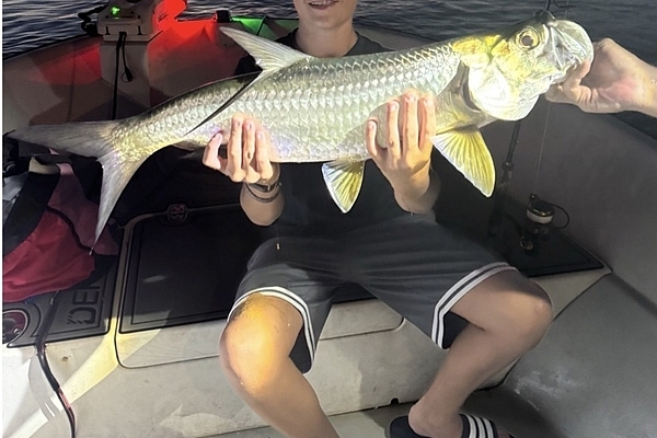 Fort Lauderdale Fishing Report: Bradys Tarpon Night